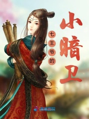 七王爷是女的小说