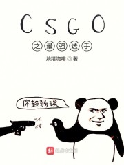 csgo之最强选手小说全本免费下载